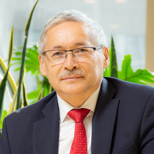 CARLOS ALFONSO APARICIO GOMEZ
